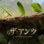 【隙間時間にやりたくなるゲーム】ザ・アンツを実際にやってみた！